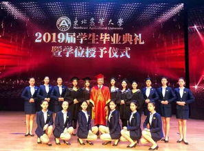 大學生禮儀服務隊納新通知 攝影攝像服務組招募啟事
